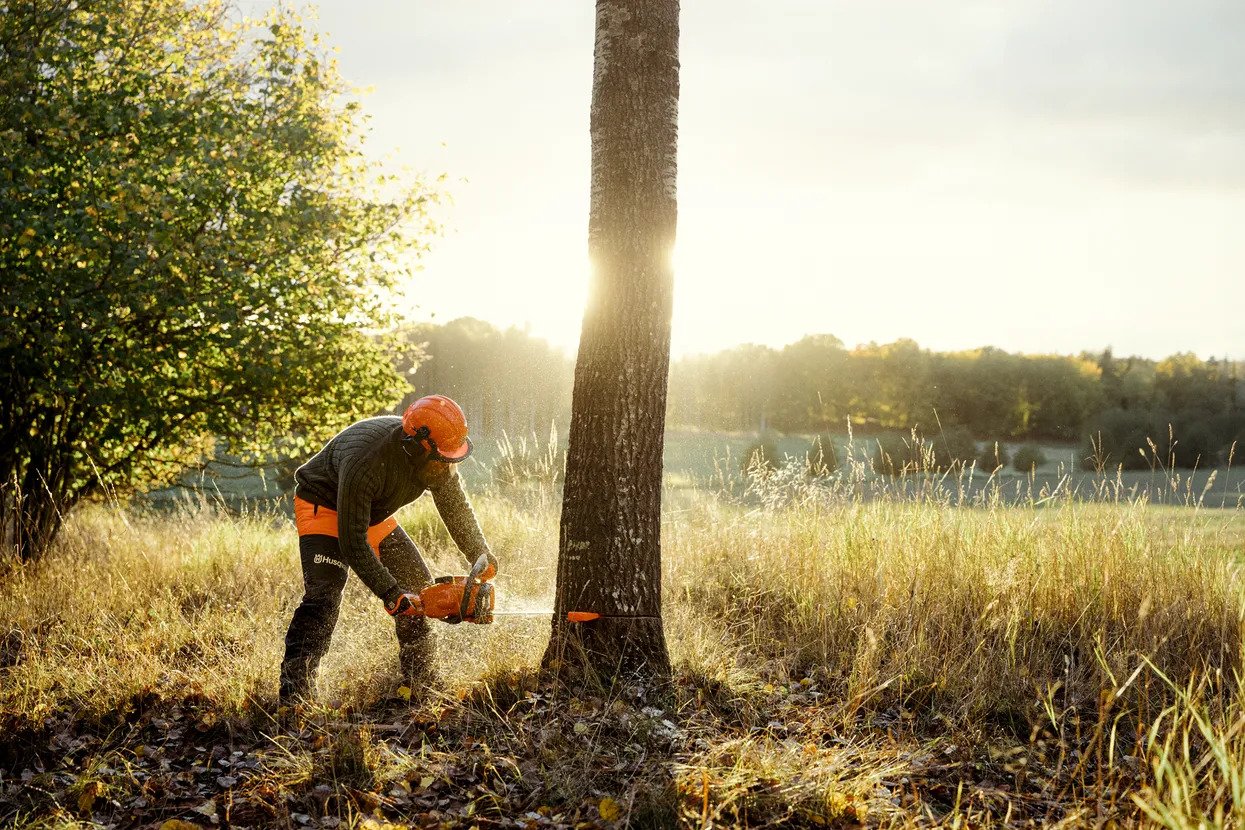 Μάθετε & ανακαλύψτε Header Image