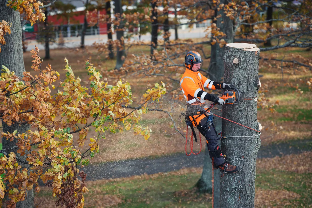 Αλυσοπρίονο Μπαταρίας Husqvarna 550iXP-15