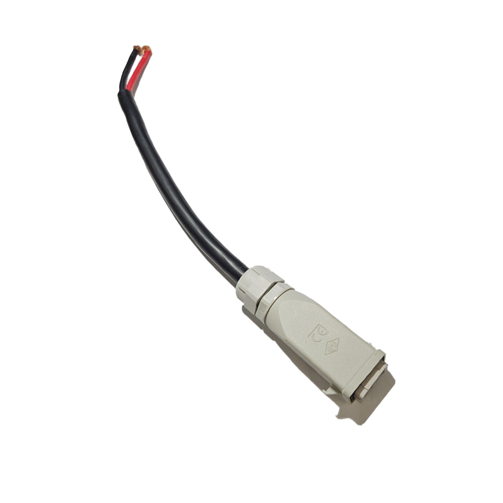 Paterlini | Καλώδιο με φις κομπλέ Ελαιοραβδιστικού Twin Picks