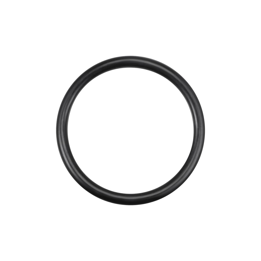 Paterlini | Λαστιχάκι OR 2128