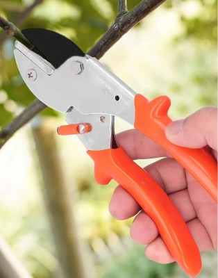 Pruner(2)