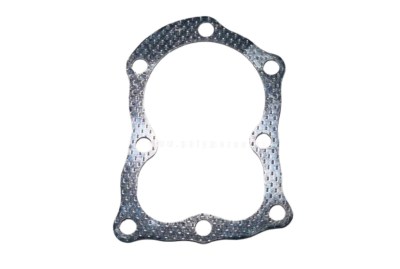 flantza-kefalis-5hp-briggesandstratton-polymeros-larisa-003103