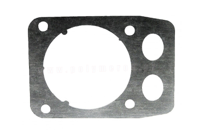 flantza-kilindrou-thamnokoptikou-545rx-polymeros-larisa-587153401