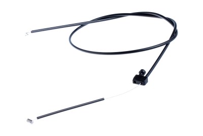 ntiza-gkaziou-thamnokoptikwn-polymeros-larisa-5371739027