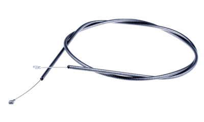 ntiza-gkaziou-thamnokoptikwn-polymeros-larisa-537181601