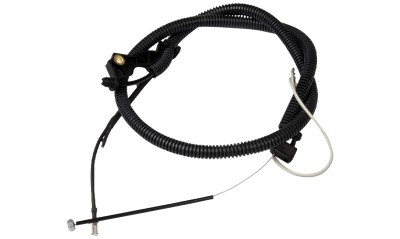 ntiza-gkaziou-thamnokoptikwn-polymeros-larisa-544977801