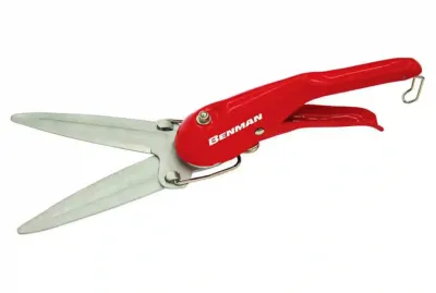 psalidi-gkazon-polymeros-larisabenman-77048